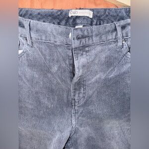 Cato Charcoal Corduroy Pants